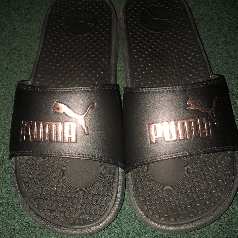 Puma slides
